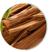 Cat's Claw extract